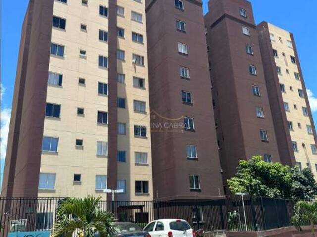 Venda em Boa Vista - Vitória da Conquista
